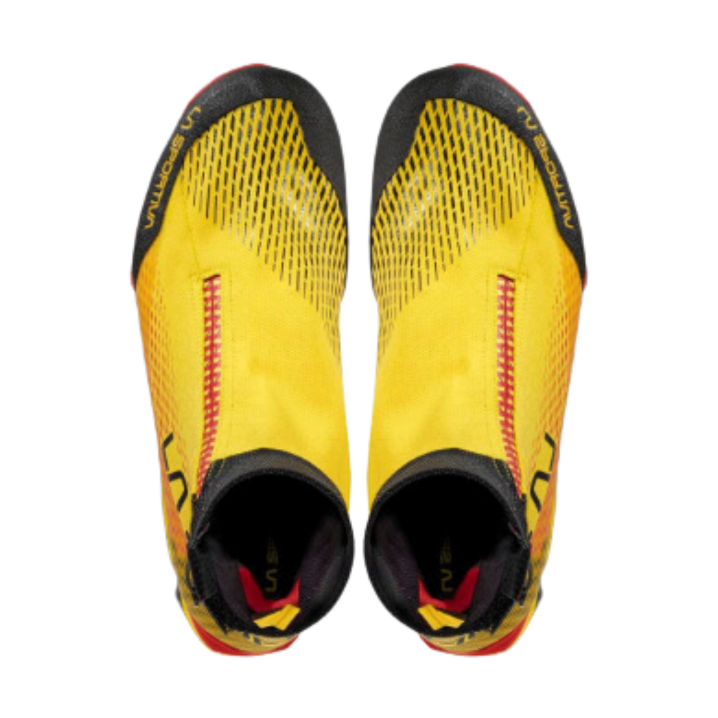 Aequilibrium Speed gtx