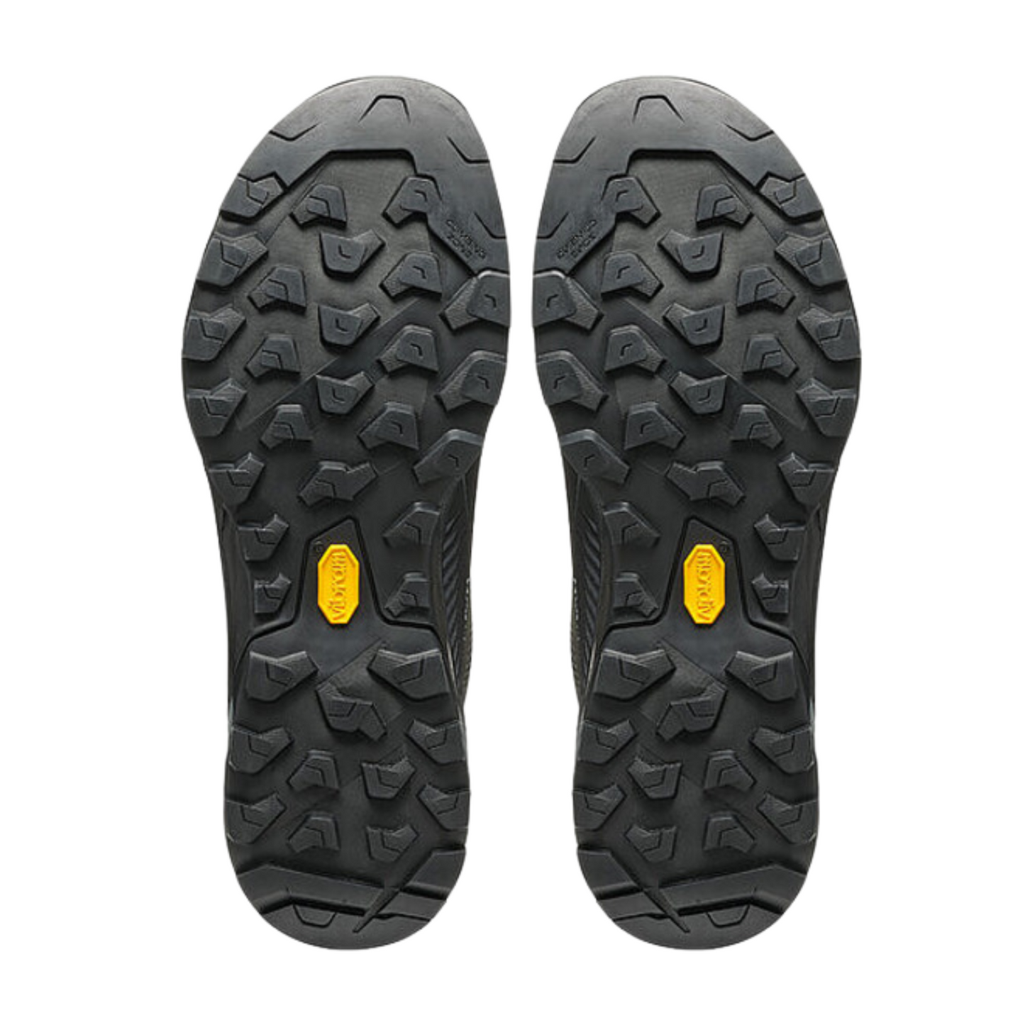 SCARPA Rapid xt gtx
